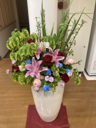 店舗が華やかに！鷲田農園さんのお花紹介☆